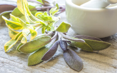 SALVIA ALLEATA DEI NOSTRI DENTI